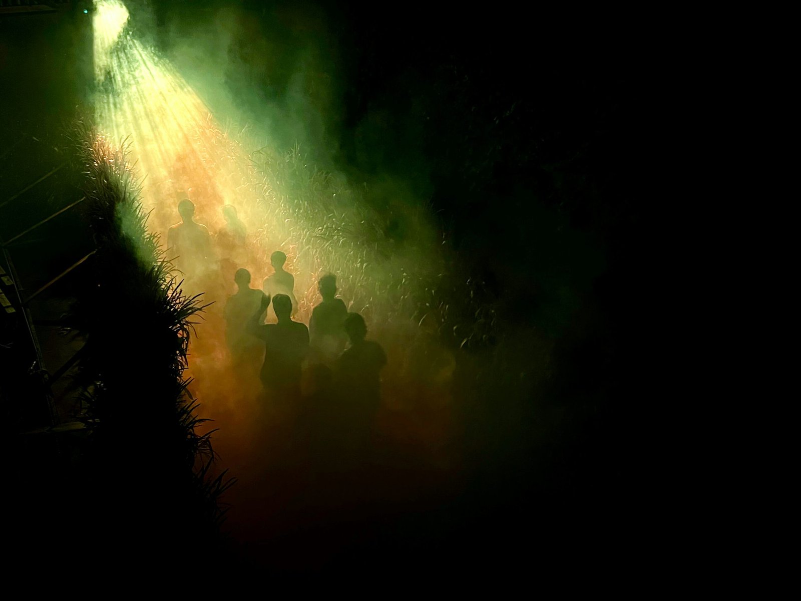 The Troubling Case of Impersonation: Abduction and Assault in Our Communities